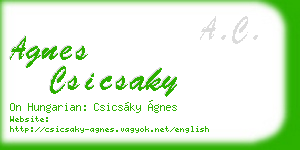 agnes csicsaky business card