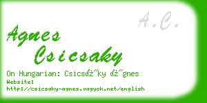 agnes csicsaky business card
